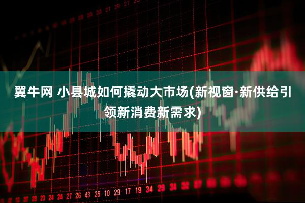 翼牛网 小县城如何撬动大市场(新视窗·新供给引领新消费新需求)
