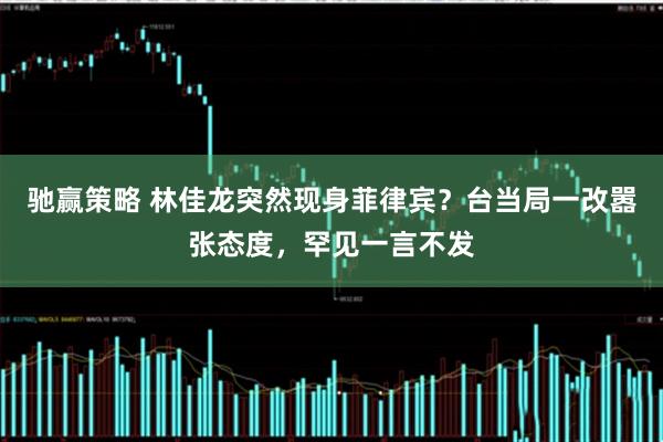驰赢策略 林佳龙突然现身菲律宾？台当局一改嚣张态度，罕见一言不发