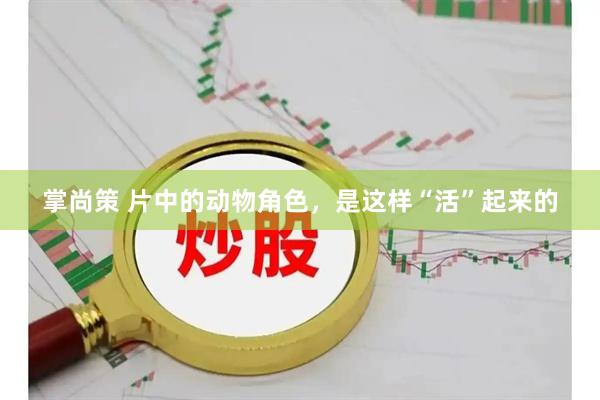 掌尚策 片中的动物角色，是这样“活”起来的