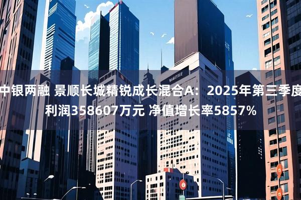 中银两融 景顺长城精锐成长混合A：2025年第三季度利润358607万元 净值增长率5857%