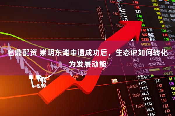 名鼎配资 崇明东滩申遗成功后，生态IP如何转化为发展动能