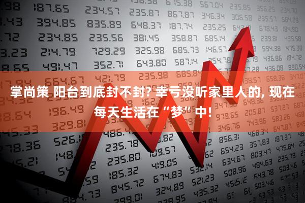 掌尚策 阳台到底封不封? 幸亏没听家里人的, 现在每天生活在“梦”中!